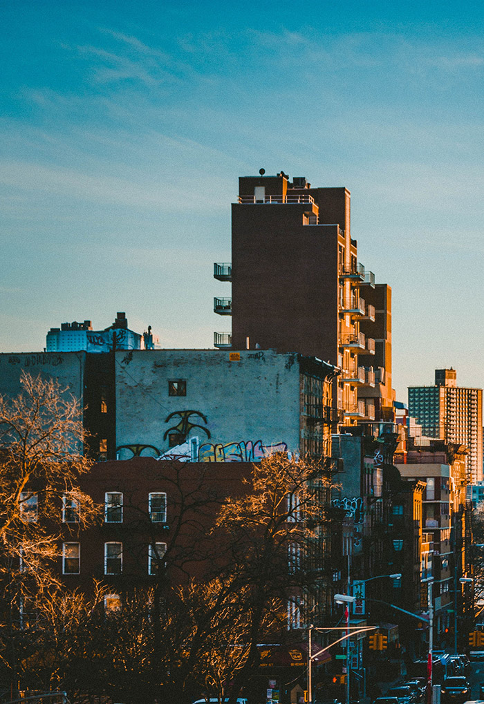 andre-benz-ITzzbdwnCvY-unsplash svg+xml;charset=utf