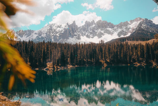 cristina gottardi GJ8ZQV7eGmU unsplash