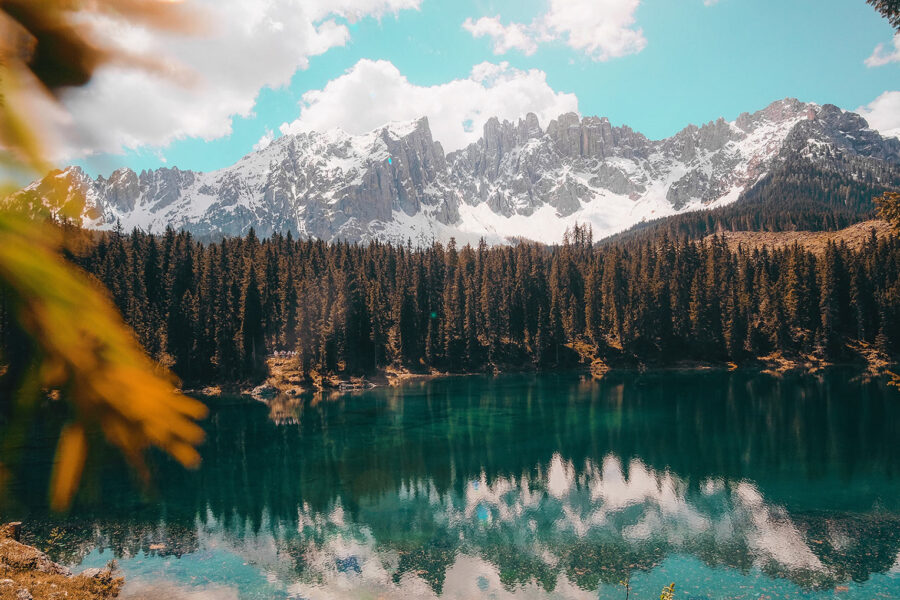 cristina gottardi GJ8ZQV7eGmU unsplash